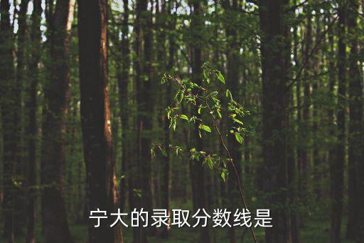 寧大的錄取分數線是