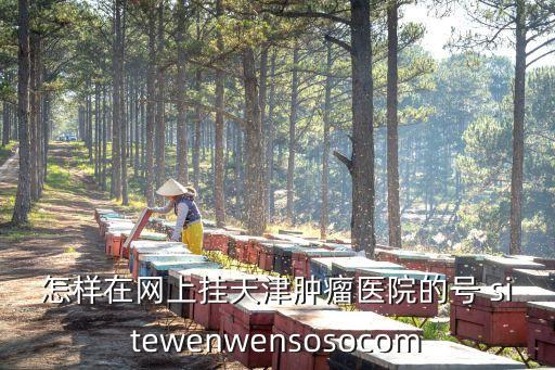 如何預(yù)約掛號(hào)天津市腫瘤醫(yī)院，怎樣在網(wǎng)上掛天津腫瘤醫(yī)院的號(hào) sitewenwensosocom