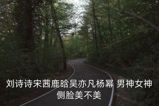 吳亦凡側臉，劉詩詩宋茜鹿晗吳亦凡楊冪 男神女神側臉美不美