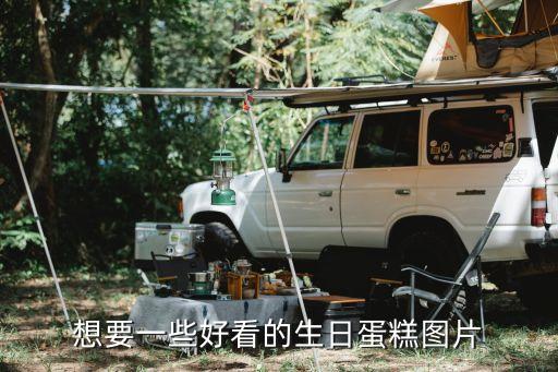 想要一些好看的生日蛋糕圖片