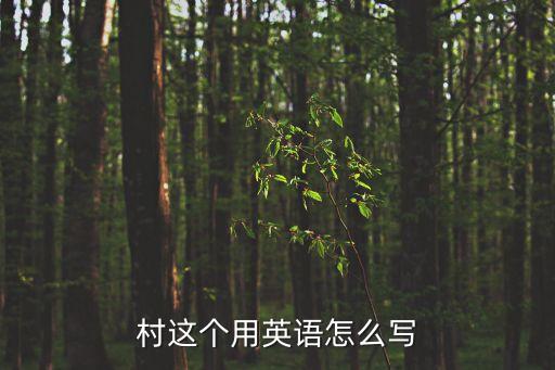 村這個用英語怎么寫