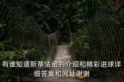 有誰知道斯蒂法諾的介紹和精彩進球詳細答案和網址謝謝
