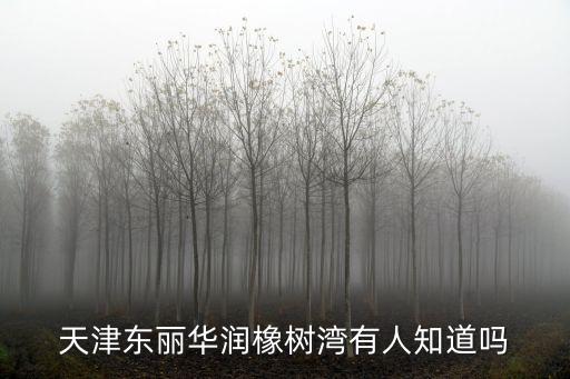 天津東麗華潤橡樹灣有人知道嗎