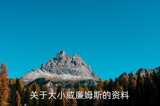小威廉姆斯，小威廉姆斯到底強在哪