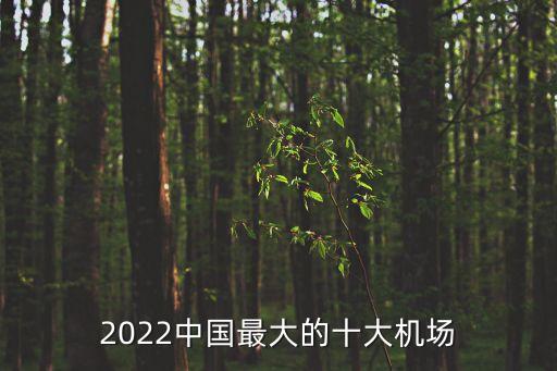 2022中國最大的十大機場