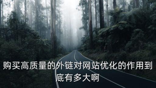 購買高質(zhì)量的外鏈對網(wǎng)站優(yōu)化的作用到底有多大啊
