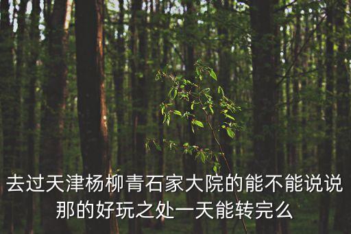 去過天津楊柳青石家大院的能不能說說那的好玩之處一天能轉完么