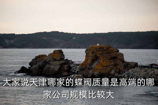 大家說天津哪家的蝶閥質量是高端的哪家公司規模比較大