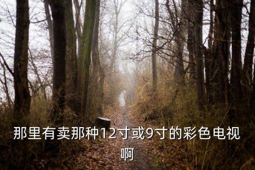 那里有賣那種12寸或9寸的彩色電視啊