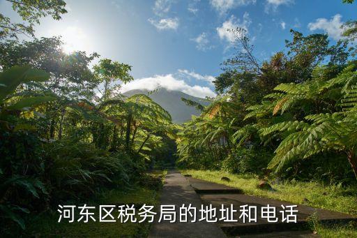 河?xùn)|區(qū)稅務(wù)局的地址和電話