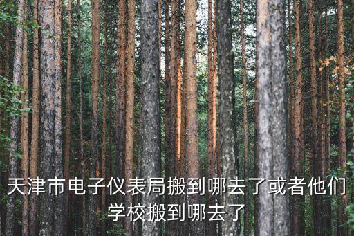 天津市電子儀表局搬到哪去了或者他們學校搬到哪去了