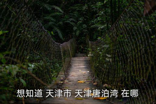天津市唐家灣，唐家灣哪個人才市場才是正規的