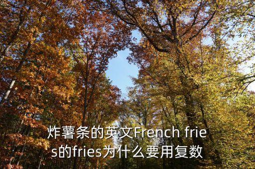 油炸的英文，油煎的用英文單詞怎么說形容詞與fry有關