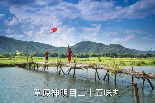 草原神明目二十五味丸