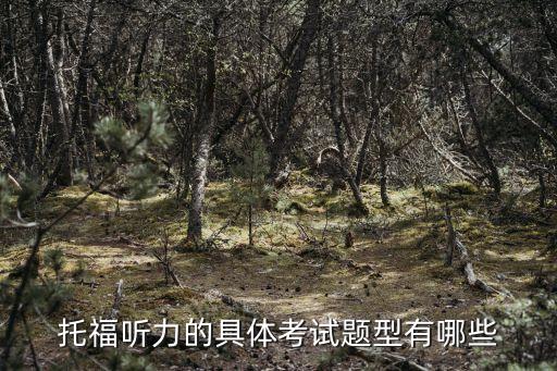 托福聽力的具體考試題型有哪些
