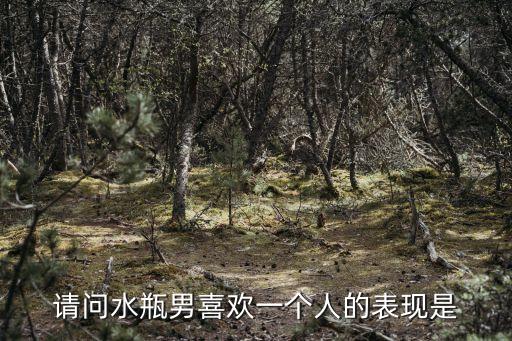 請問水瓶男喜歡一個人的表現是