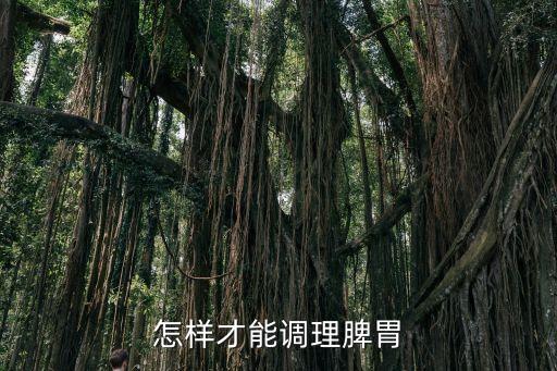 怎樣才能調理脾胃