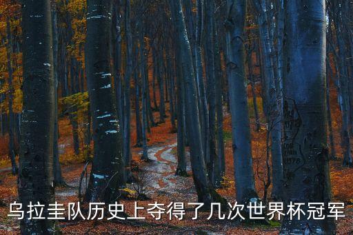 烏拉圭隊歷史上奪得了幾次世界杯冠軍