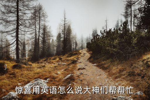 驚喜用英語怎么說大神們幫幫忙
