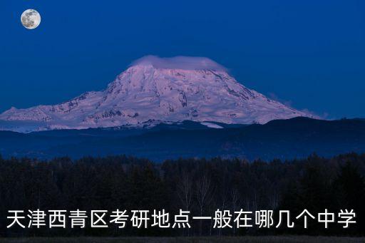 天津西青區考研地點一般在哪幾個中學