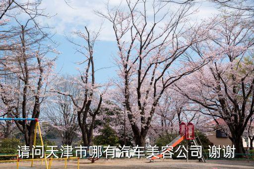 請問天津市哪有汽車美容公司 謝謝