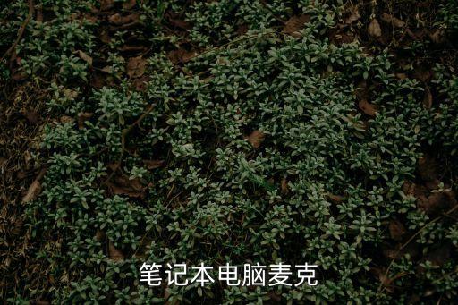 筆記本電腦麥克