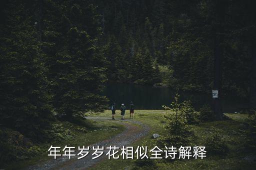 年年歲歲花相似全詩解釋