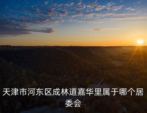 天津市河東區(qū)成林道嘉華里屬于哪個居委會