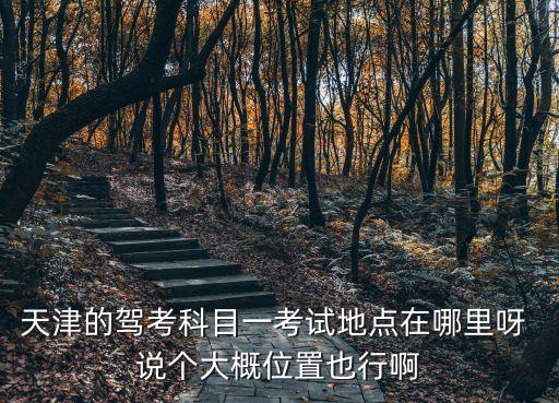 天津的駕考科目一考試地點在哪里呀 說個大概位置也行啊