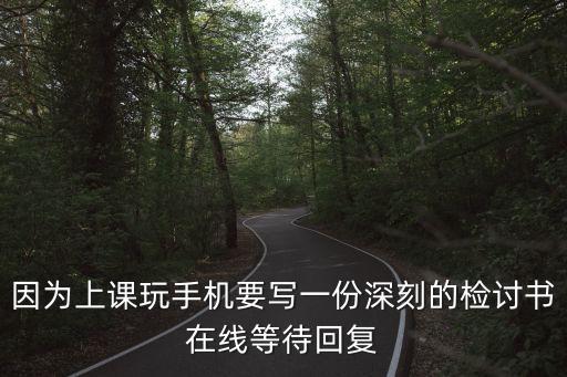 因為上課玩手機要寫一份深刻的檢討書在線等待回復(fù)