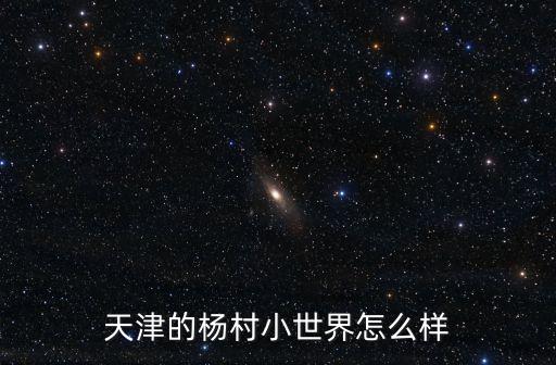 天津的楊村小世界怎么樣