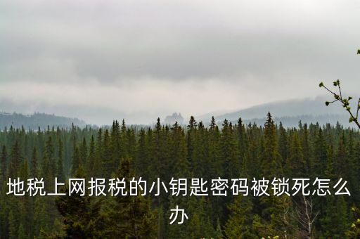 天津市地稅小藍鑰匙的初始密碼，地稅上網報稅的小鑰匙密碼被鎖死怎么辦