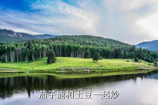 茄子能和土豆一起炒