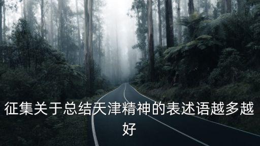 征集關于總結天津精神的表述語越多越好