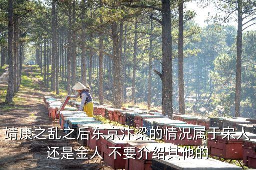 靖康之亂之后東京汴梁的情況屬于宋人還是金人 不要介紹其他的