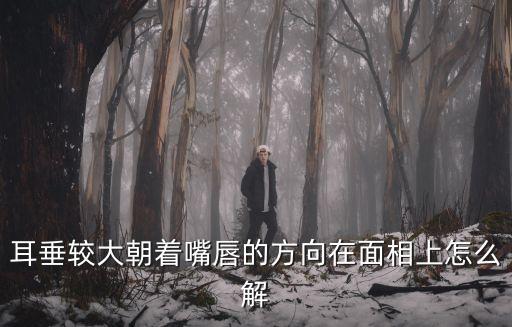 耳垂朝口，耳垂較大朝著嘴唇的方向在面相上怎么解