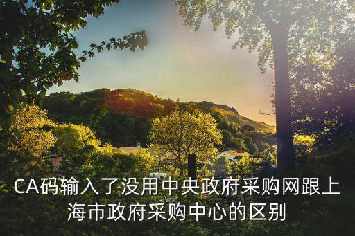 CA碼輸入了沒用中央政府采購網跟上海市政府采購中心的區別