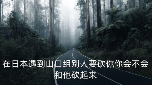 在日本遇到山口組別人要砍你你會不會和他砍起來