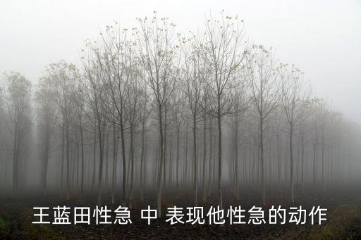 王藍田性急 中 表現他性急的動作