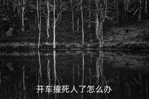 開車撞死人了怎么辦