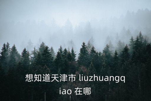 天津市河東區大直沽古槐樹，想知道天津市 liuzhuangqiao 在哪