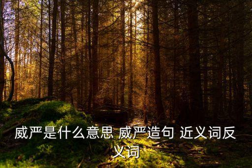 威嚴是什么意思 威嚴造句 近義詞反義詞
