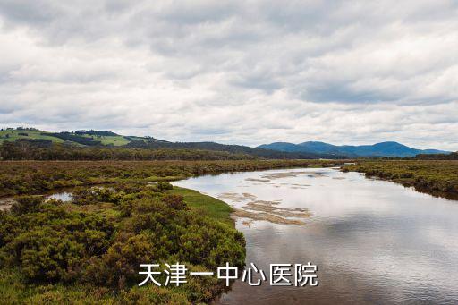 天津一中心醫院