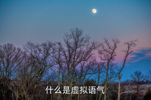 虛擬語氣，什么是虛擬語氣