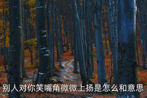 別人對你笑嘴角微微上揚是怎么和意思