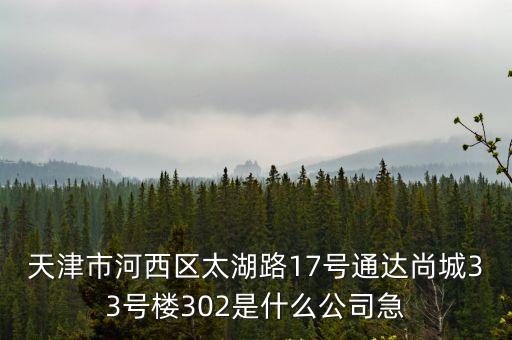 天津市河西區太湖路17號通達尚城33號樓302是什么公司急
