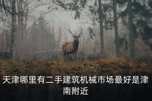 天津哪里有二手建筑機械市場最好是津南附近