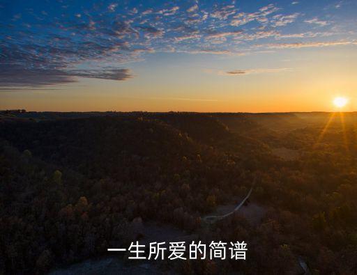 一生所愛(ài)的簡(jiǎn)譜