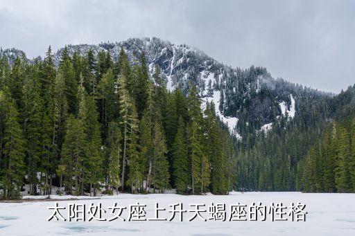 太陽處女座上升天蝎座的性格