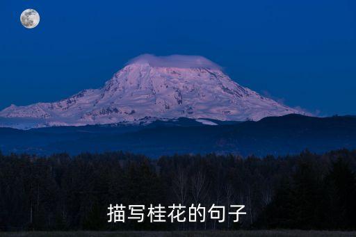 描寫桂花的句子